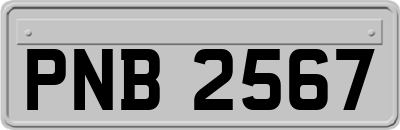 PNB2567