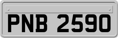 PNB2590