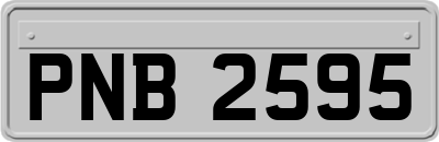 PNB2595