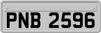 PNB2596