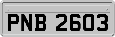 PNB2603