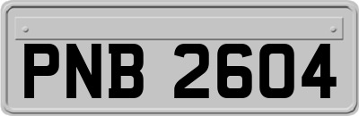 PNB2604