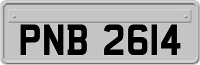 PNB2614
