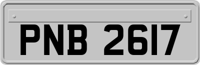 PNB2617
