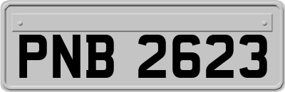 PNB2623
