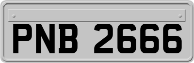 PNB2666