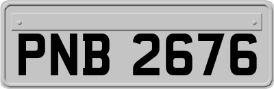 PNB2676