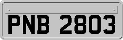 PNB2803