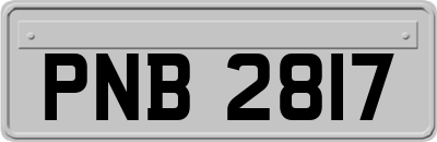 PNB2817
