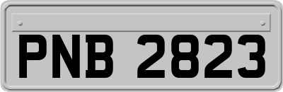 PNB2823