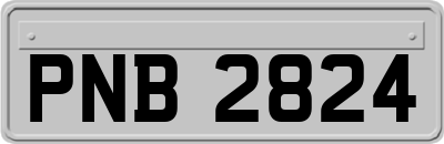 PNB2824