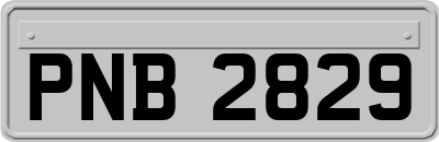 PNB2829