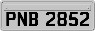 PNB2852