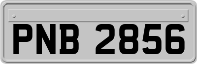 PNB2856