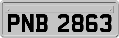 PNB2863