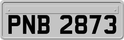 PNB2873