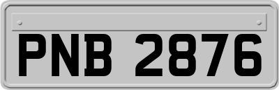 PNB2876