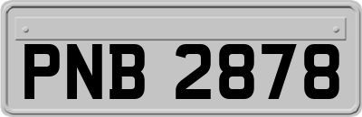 PNB2878