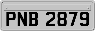 PNB2879