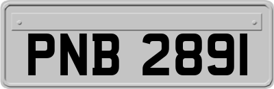PNB2891