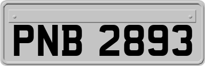 PNB2893