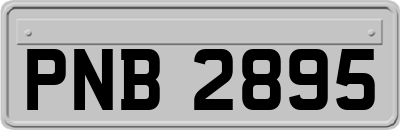 PNB2895
