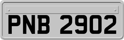PNB2902