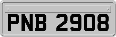 PNB2908