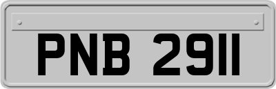 PNB2911