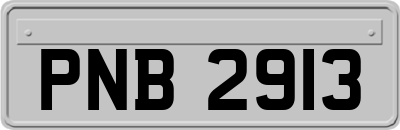 PNB2913
