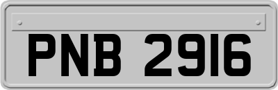 PNB2916