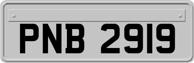 PNB2919