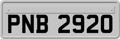 PNB2920