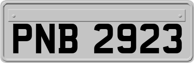 PNB2923