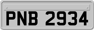 PNB2934