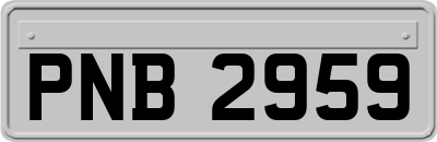 PNB2959