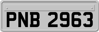 PNB2963