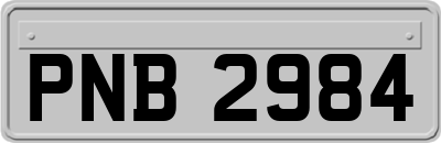 PNB2984