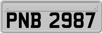 PNB2987