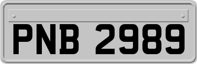 PNB2989