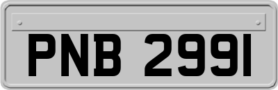 PNB2991