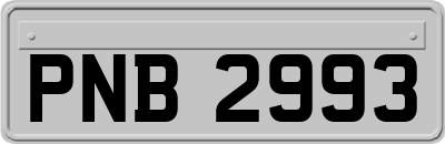 PNB2993