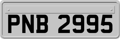 PNB2995