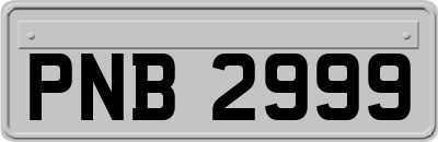 PNB2999
