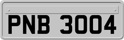 PNB3004