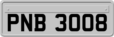 PNB3008