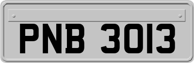 PNB3013