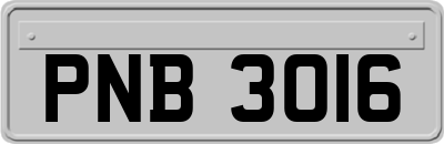 PNB3016