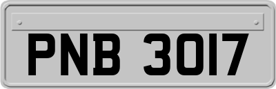 PNB3017