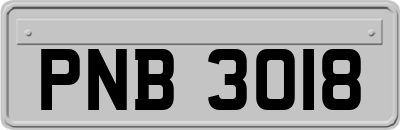 PNB3018